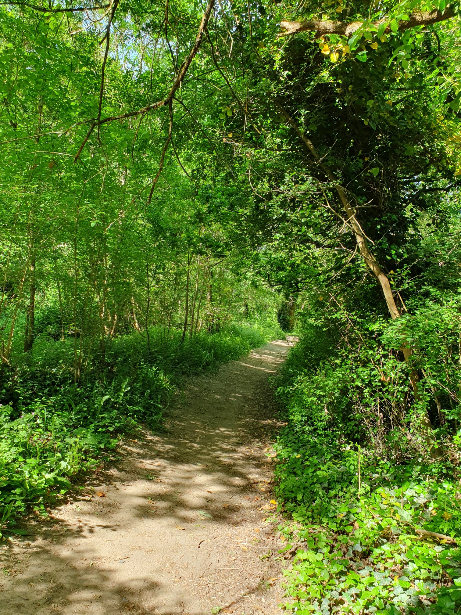 Nature et Loire en Anjou